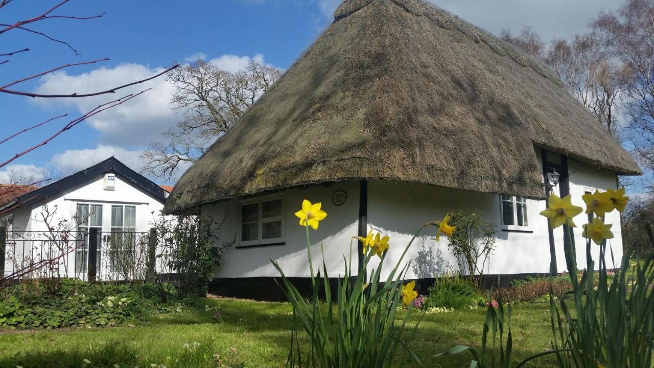 Frogs Hall B&B Eye  Bagian luar foto